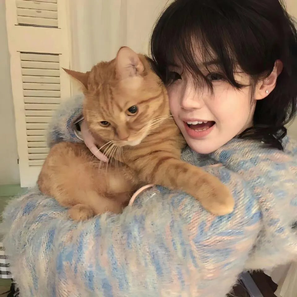 好莱坞华人